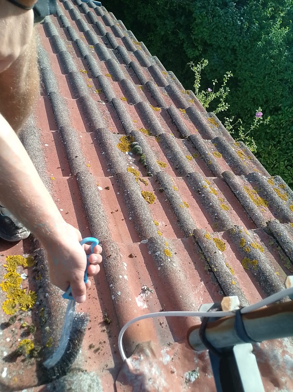 Nettoyage et traitement de toiture